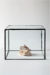 Elisabetta di Maggio, Untitled, 2024